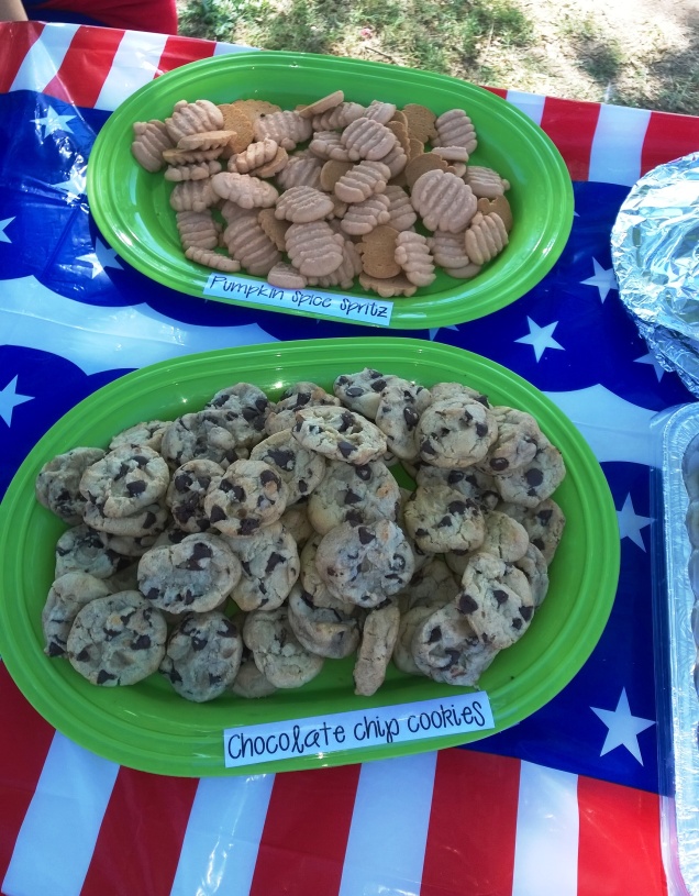My contribution to the Veterans Day Picnic